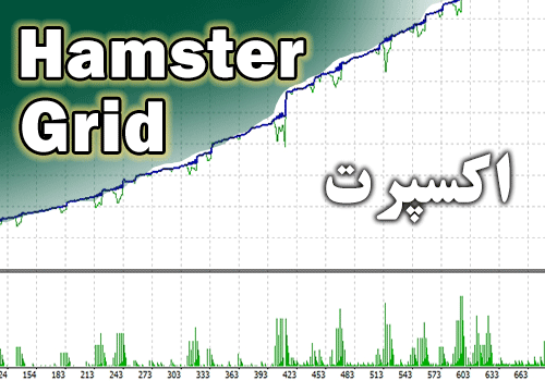 بهترین اکسپرت Hamster Grid برای متاتریدر 4