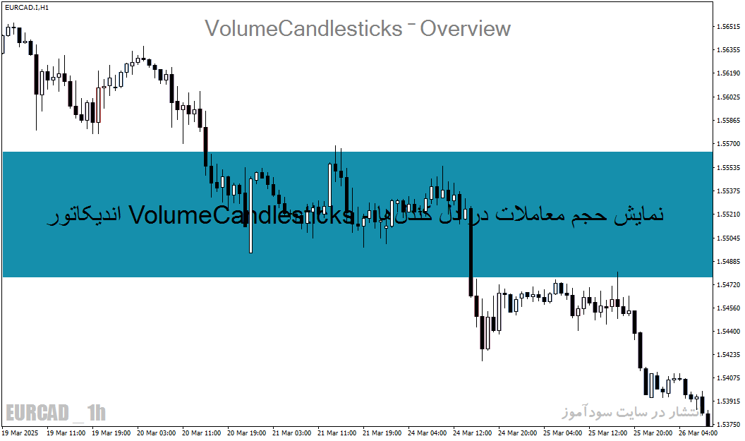 اندیکاتور VolumeCandlesticks - نمایش حجم معاملات در دل کندلها برای MT4 و MT5