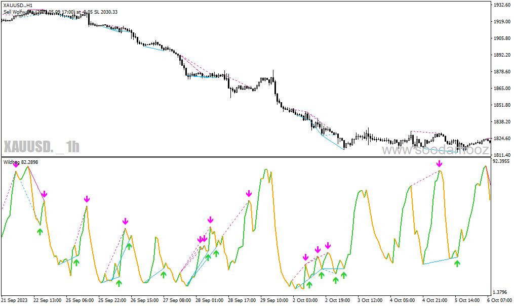 دانلود اندیکاتور رسم اتوماتیک واگرایی برای متاتریدر4 با نام wildhog indicator