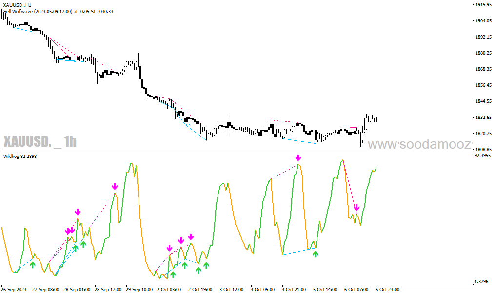 دانلود اندیکاتور رسم اتوماتیک واگرایی برای متاتریدر4 با نام wildhog indicator