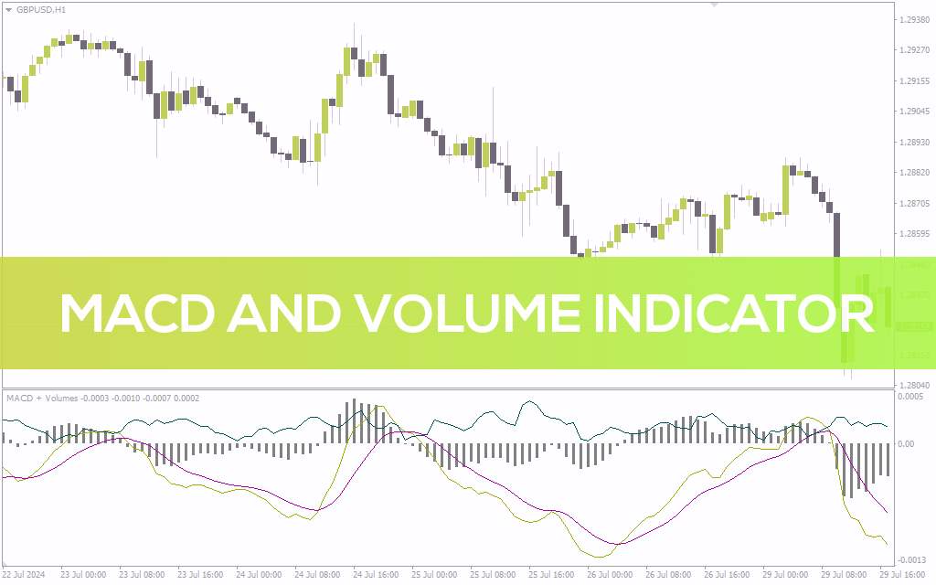 تأیید سیگنالهای MACD با حجم معاملات در اندیکاتور MACD and Volume برای MT4
