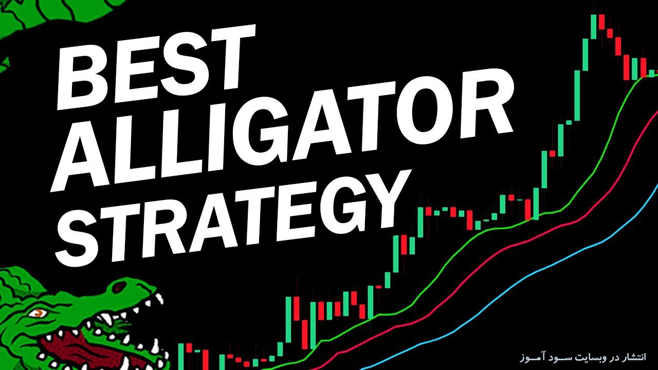  استراتژی معاملاتی اندیکاتور Alligator