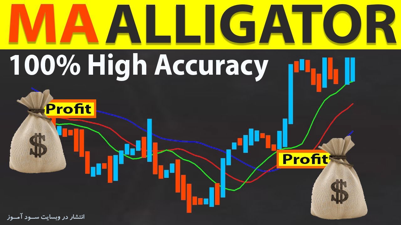 استراتژی معاملاتی Fractals و Alligator با دقت بالا