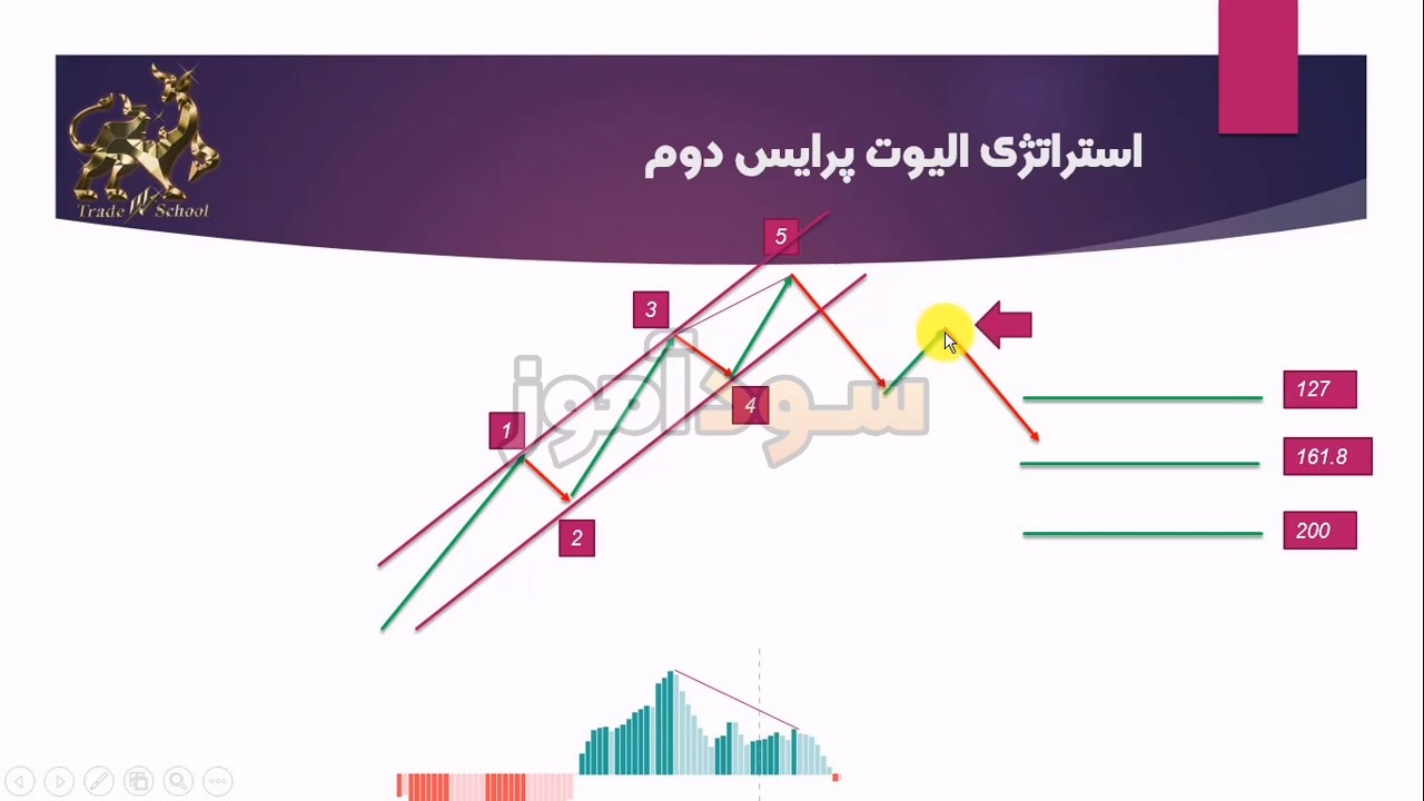 استراتژی الیوت از خانم سمانه عباسی