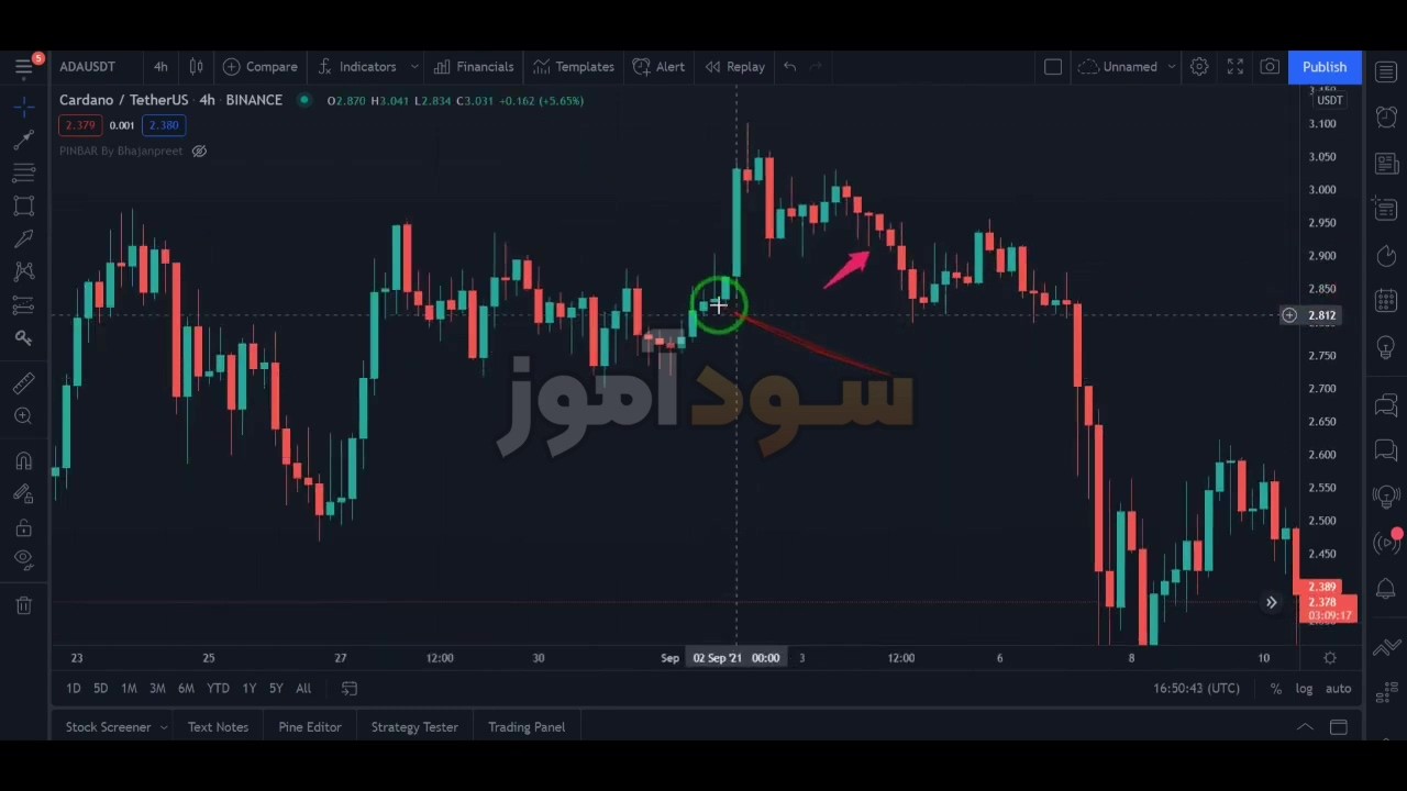 استراتژی معاملاتی پین بار پرایس اکشن از بورسیکس