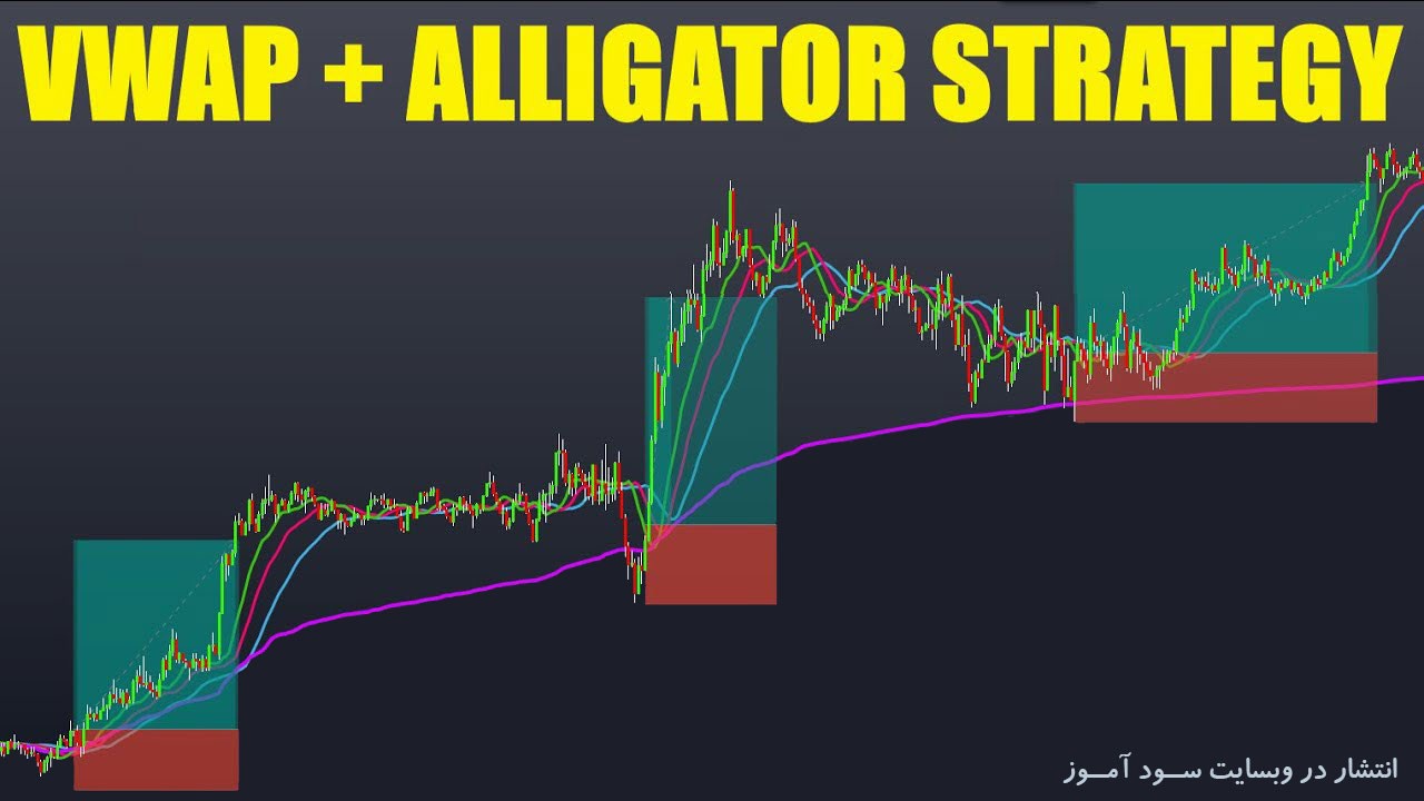 استراتژی معاملاتی VWAP + 600 EMA + Alligator 